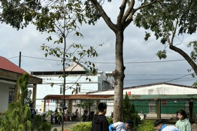 Chương trình ra quân vệ sinh môi trường xanh, sạch, đẹp  đón Tết Nguyên đán Ất Tỵ 2025